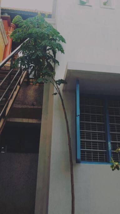 The Vintage House Mysore Exterior photo